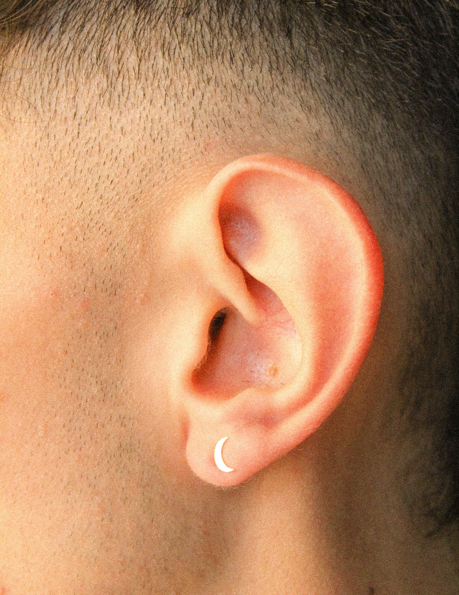 To The Moon And Back