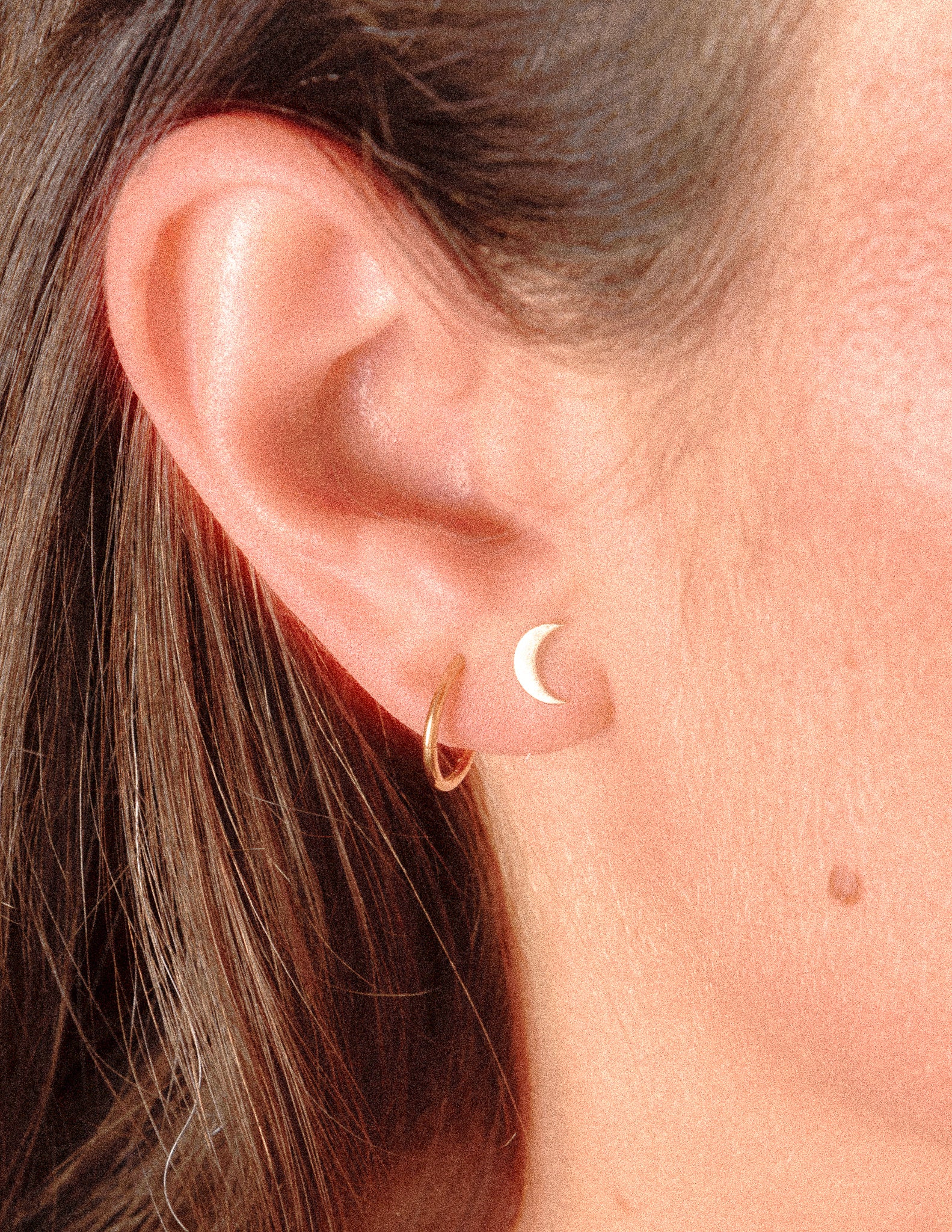 To The Moon And Back